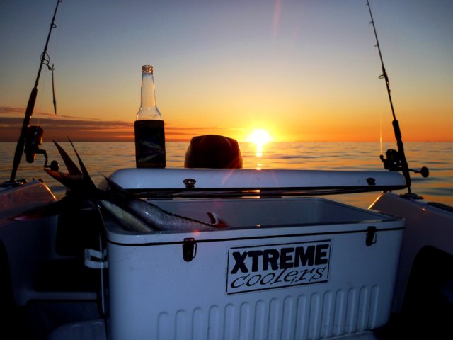 Xtreme Cooler Lovin It